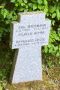 3223-1.jpg